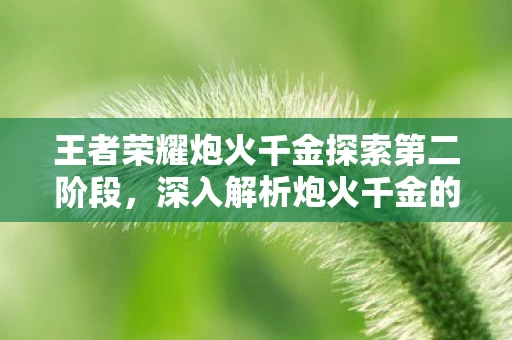 王者荣耀炮火千金探索第二阶段图片