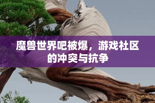 魔兽世界吧被爆，游戏社区的冲突与抗争