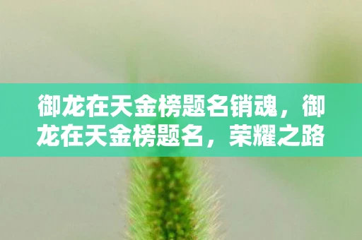 御龙在天金榜题名销魂，御龙在天金榜题名，荣耀之路与策略之战