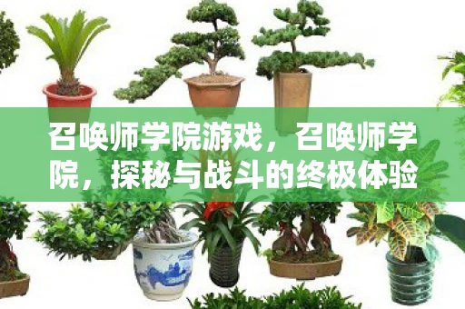 召唤师学院游戏，召唤师学院，探秘与战斗的终极体验