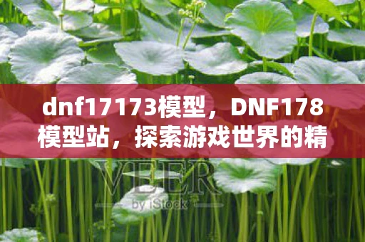 dnf17173模型，DNF178模型站，探索游戏世界的精致之作