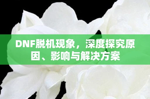 DNF脱机现象图片