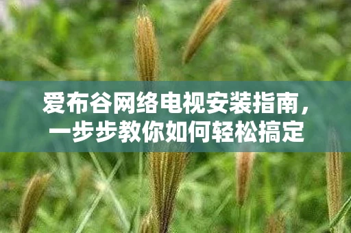爱布谷网络电视安装指南，一步步教你如何轻松搞定