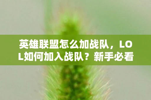英雄联盟怎么加战队，LOL如何加入战队？新手必看的战队加入指南