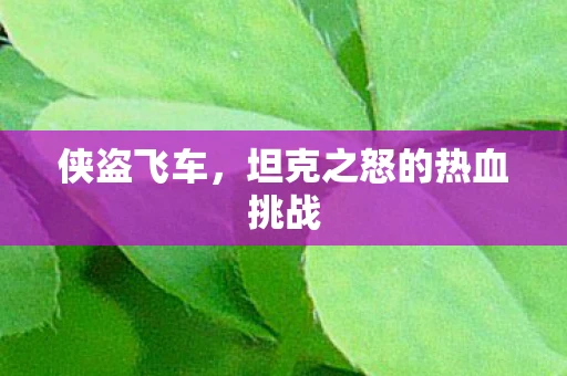 侠盗飞车，坦克之怒的热血挑战