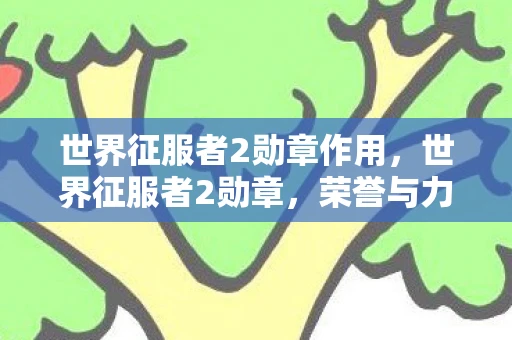 世界征服者2勋章作用，世界征服者2勋章，荣誉与力量的象征