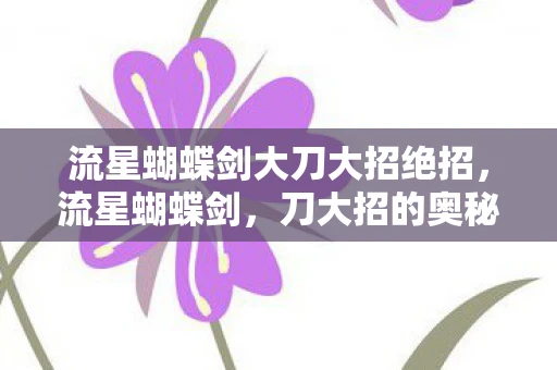 流星蝴蝶剑大刀大招绝招，流星蝴蝶剑，刀大招的奥秘与技巧