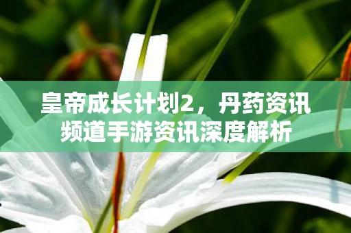 皇帝成长计划2，丹药资讯频道手游资讯深度解析