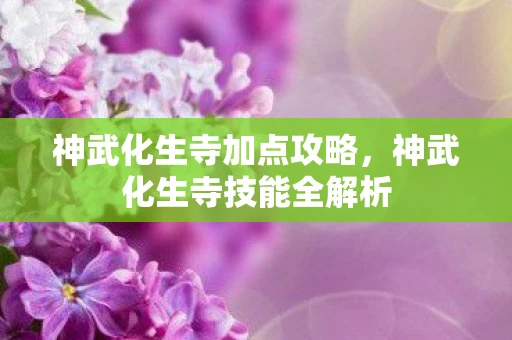 神武化生寺加点攻略，神武化生寺技能全解析