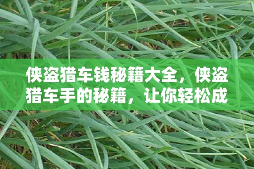 侠盗猎车钱秘籍大全，侠盗猎车手的秘籍，让你轻松成为游戏巨头