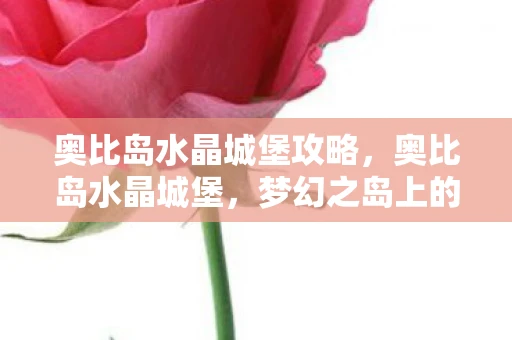 奥比岛水晶城堡攻略，奥比岛水晶城堡，梦幻之岛上的宝石之谜