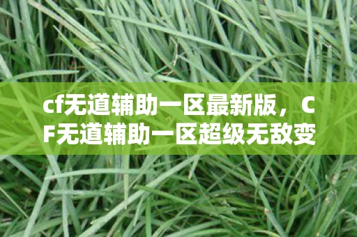 cf无道辅助一区最新版，CF无道辅助一区超级无敌变态版，游戏玩家的挑战与应对之策