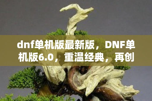 dnf单机版最新版，DNF单机版6.0，重温经典，再创辉煌资讯频道