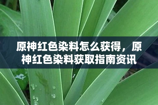 原神红色染料怎么获得，原神红色染料获取指南资讯