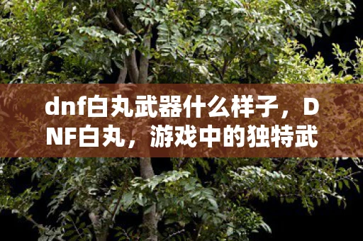 dnf白丸武器什么样子，DNF白丸，游戏中的独特武器与战斗体验