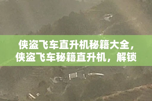 侠盗飞车直升机秘籍大全，侠盗飞车秘籍直升机，解锁空中霸主