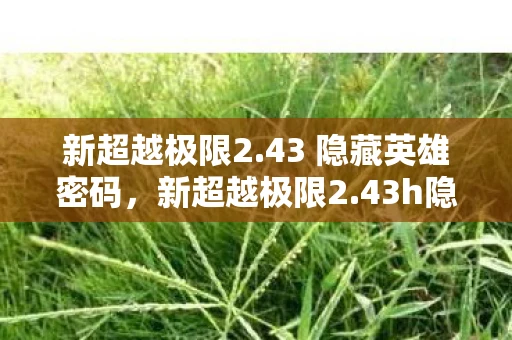 新超越极限2.43 隐藏英雄密码，新超越极限2.43h隐藏英雄密码资讯频道
