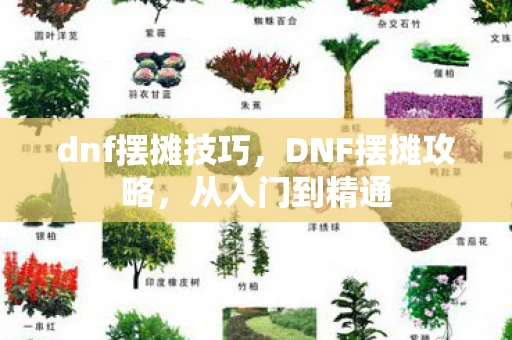 dnf摆摊技巧，DNF摆摊攻略，从入门到精通