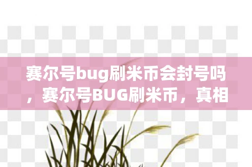 赛尔号bug刷米币会封号吗，赛尔号BUG刷米币，真相揭秘与玩家警示