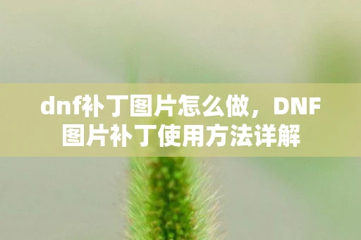 dnf补丁图片怎么做，DNF图片补丁使用方法详解