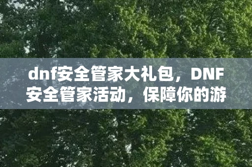 dnf安全管家大礼包，DNF安全管家活动，保障你的游戏之旅安全又畅快
