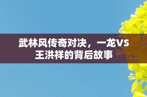 武林风传奇对决，一龙VS王洪祥的背后故事