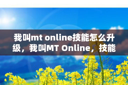 我叫mt online技能怎么升级，我叫MT Online，技能升级全攻略，战斗力飙升不是梦！