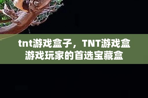 tnt游戏盒子，TNT游戏盒游戏玩家的首选宝藏盒