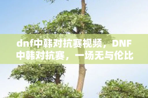 dnf中韩对抗赛视频，DNF中韩对抗赛，一场无与伦比的游戏盛宴