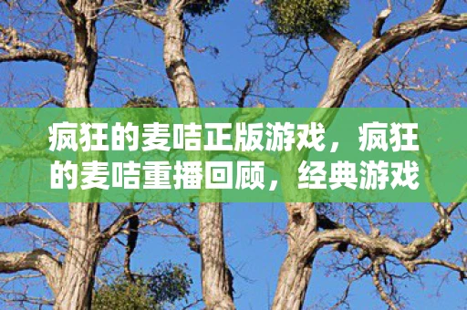 疯狂的麦咭正版游戏,疯狂的麦咭重播回顾,经典游戏玩法再现 疯狂的麦咭正版游戏,疯狂的麦咭重播回顾,经典游戏玩法再现