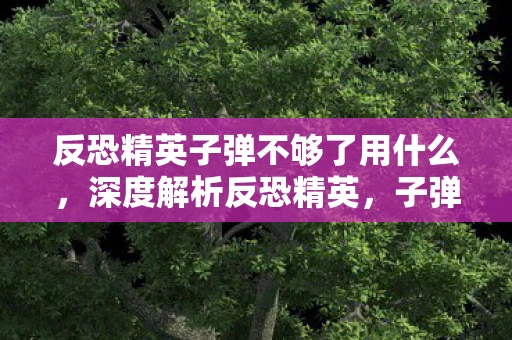 反恐精英子弹不够了用什么，深度解析反恐精英，子弹加速挂的使用与建议