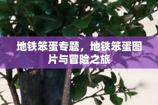 地铁笨蛋专题，地铁笨蛋图片与冒险之旅