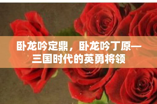 卧龙吟定鼎，卧龙吟丁原—三国时代的英勇将领