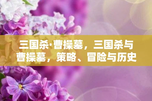 三国杀·曹操墓，三国杀与曹操墓，策略、冒险与历史的交织