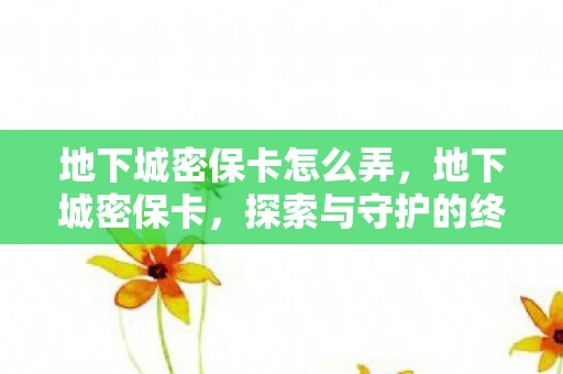 地下城密保卡怎么弄，地下城密保卡，探索与守护的终极密钥