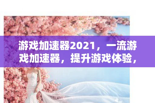 游戏加速器2021，一流游戏加速器，提升游戏体验，让你畅游电竞世界