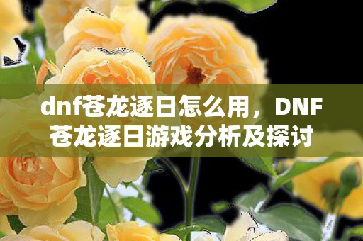 dnf苍龙逐日怎么用，DNF苍龙逐日游戏分析及探讨