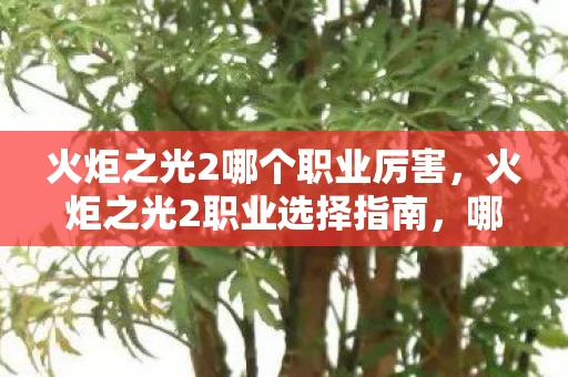 火炬之光2哪个职业厉害，火炬之光2职业选择指南，哪个职业最好玩？详细解析各职业特色与玩法