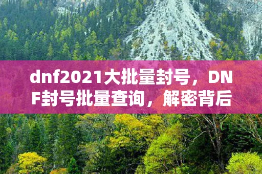 dnf2021大批量封号，DNF封号批量查询，解密背后的原因与应对策略