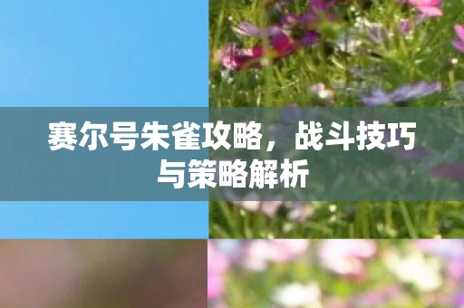 战斗技巧与策略解析图片