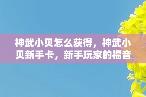 神武小贝怎么获得，神武小贝新手卡，新手玩家的福音，助力快速成长