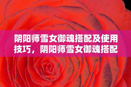 阴阳师雪女御魂搭配及使用技巧，阴阳师雪女御魂搭配攻略，控制流与生存流的完美选择