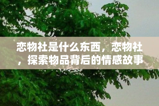 恋物社是什么东西，恋物社，探索物品背后的情感故事，v1.0.0官方最新版下载指南