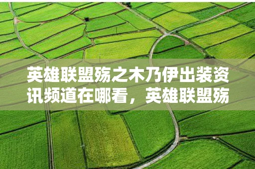 英雄联盟殇之木乃伊出装资讯频道在哪看，英雄联盟殇之木乃伊出装资讯频道—打造无敌英雄之路