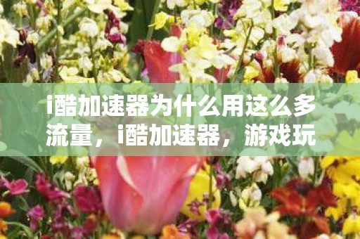 i酷加速器为什么用这么多流量，i酷加速器，游戏玩家的极速体验利器