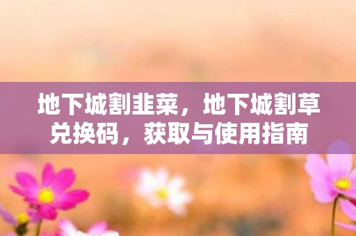 地下城割韭菜，地下城割草兑换码，获取与使用指南