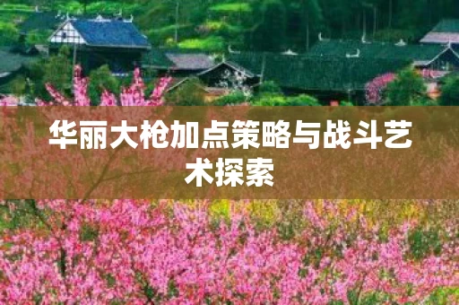 华丽大枪加点策略与战斗艺术探索图片