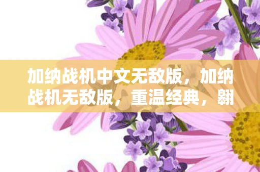 加纳战机中文无敌版,加纳战机无敌版,重温经典,翱翔天际的战斗体验 加纳战机中文无敌版,加纳战机无敌版,重温经典,翱翔天际的战斗体验