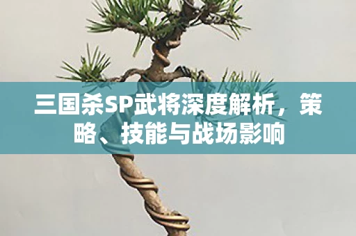 三国杀SP武将深度解析图片