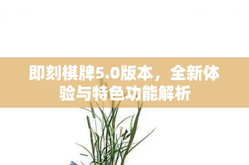 即刻棋牌5.0版本,全新体验与特色功能解析 即刻棋牌5.0版本,全新体验与特色功能解析